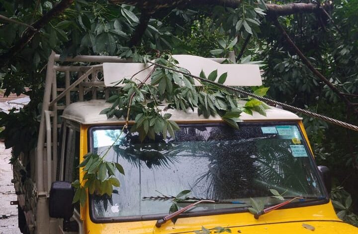 വെച്ചൂച്ചിറ ഇടത്തിക്കാവിൽ മഴയോ ടോപ്പം ഉണ്ടായ കനത്ത കാറ്റിൽ മരം വീണ് വീടുകൾക്കടക്കം നാശം നേരിട്ടു