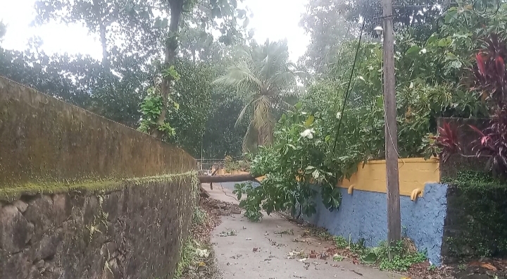 റാന്നി മാമുക്ക് ജംഗഷന് സമീപം ശക്തമായ കാറ്റിലും മഴയിലും, തേക്കുമരം വീണ് വൈദ്ധ്യുത തൂണ് തകരുകയുംഗതാഗതം തടസ്സപ്പെടുകയും ചെയ്തു