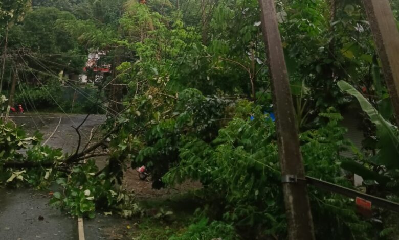 റാന്നി ഐത്തലയിലും ചെറുകുളഞ്ഞിയിലും മഴക്കോപ്പം ഉണ്ടായ കാറ്റിൽ മരം കൊമ്പ് വീണ്,വൈദ്ധ്യുത ലൈൻതർന്ന് 5 ഇടത്ത് റോഡിൽ ഗതാഗതം തടസപ്പെട്ടു