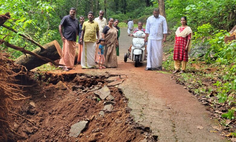 റാന്നിപെരുനാട് മണക്കയം ബിമ്മരം ഭാഗത്തേക്കുള്ള റോഡിൽ മരം കടപുഴകി വീണത് കാരണം നൂറോളം കുടുംബങ്ങൾ ഒറ്റപ്പെട്ടു