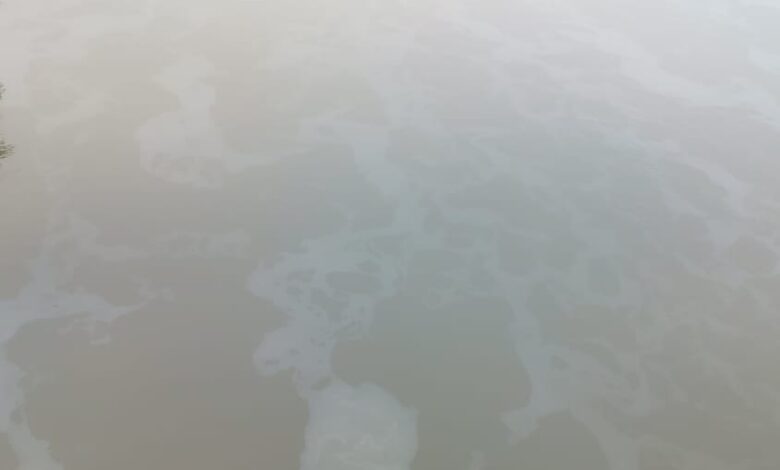 പമ്പാനദിയിൽ നേരിയതോതിൽഓയിൽ കലർന്ന് ഒഴുകിയത് നവമാധ്യമങ്ങളിൽ പ്രചരിച്ചതോടെ നദി തീരവാസികൾ ആശങ്കയിലായി