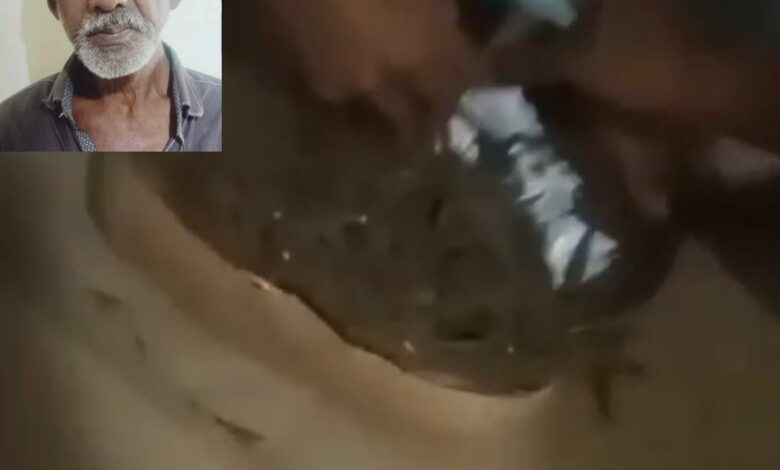 പത്തനംതിട്ട പന്തളത്ത് വൻ കഞ്ചാവ് വേട്ട; ഒരാൾ പന്തളംപോലീസിന്റെ പിടിയിലായി