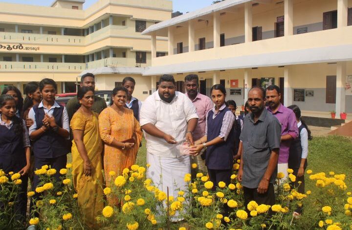 ഓണപൂവ്‌ കൃഷി വിളവെടുപ്പ് നടത്തി