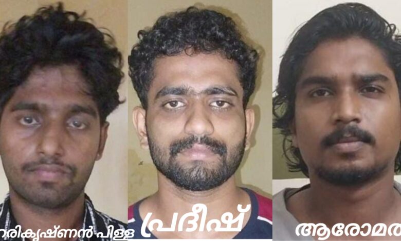 പോലീസിന്റെ കൃത്യനിർവഹണം തടസപ്പെടുത്തിയതിനും ആക്രമിച്ചതിനും മൂന്നുപേരെ പത്തനംതിട്ട പോലീസ് പിടികൂടി