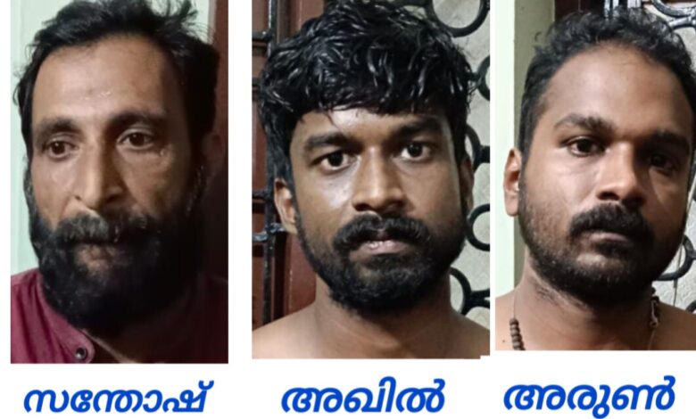 വാടകവീട് കേന്ദ്രീകരിച്ച് കഞ്ചാവ് വിൽപ്പന നടത്തിയ കേസിലെ മൂന്നു പ്രതികളെ കൊടുമൺ പോലീസ് അറസ്റ്റ് ചെയ്തു
