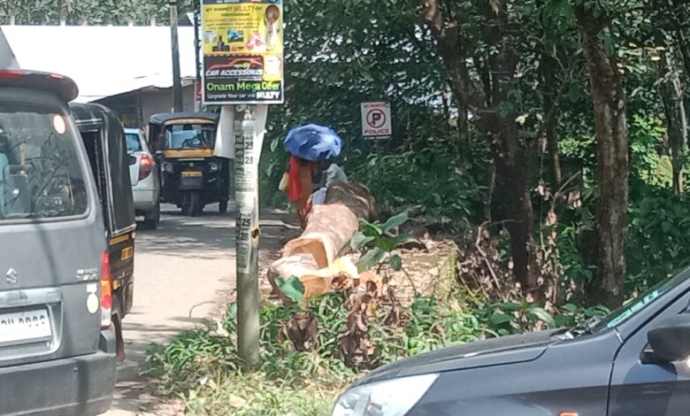 റോഡരുകിൽ തടി മുറിച്ചിറക്കിയതു കാരണം ഇട്ടിയപ്പാറ ബൈപ്പാസ് ജംഗഷനിൽ ഗതാഗത കുരുക്ക് രൂക്ഷം ;തിരിഞ്ഞുനോക്കാനാളില്ലെന്ന് ആരോപണം