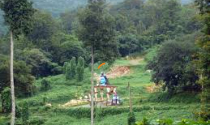 നിലക്കലിൽ കാട്ടാനശല്യം   നിലക്കൽ ഭാഗത്ത് കാട്ടാനശല്യമുള്ളതായി പോലീസ്