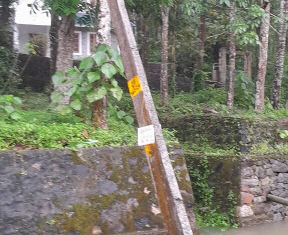 റാന്നിയിൽ കനത്ത മഴ തുടരുന്നതിനിടെ മഴകെടുതികളും ആയതോടെ ജനങ്ങള്‍ ആശങ്കയിലായി