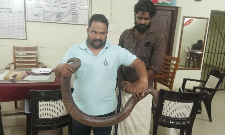 ഇരുതലമൂരിയെ വില്ക്കാൻ ശ്രമിച്ച 2 പേർ വനം വകുപ്പ് ഉദ്യോഗസ്ഥരുടെ പിടിയിലായി