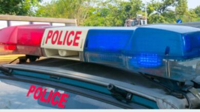 നിയമസഭാ തെരഞ്ഞെടുപ്പ് –  ജില്ലയിലേക്ക് കൂടുതൽ സ്പെഷ്യൽ പോലീസ് ഓഫീസർമാരെ നിയമിക്കുന്നു